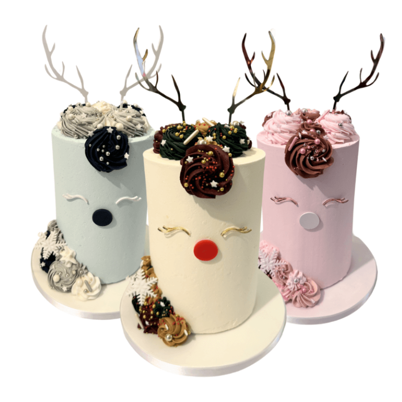 Christmas Reindeer Cake in a Choice of Colour