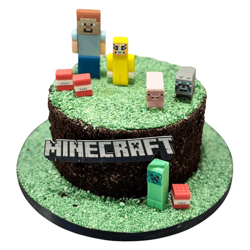 Kids Minecraft Cake